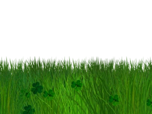 Green Grass and Clover Border with Transparent Background PNG