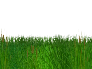 Seamless Grass Border Free PNG Clipart