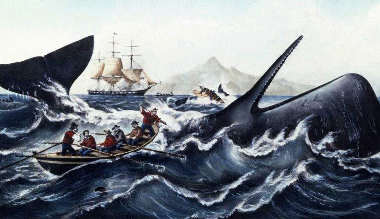 hunting whales in the industrial revolution