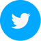 Twitter link icon