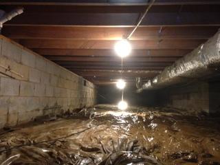 Does Your Marion, KY Crawlspace Look Like This?