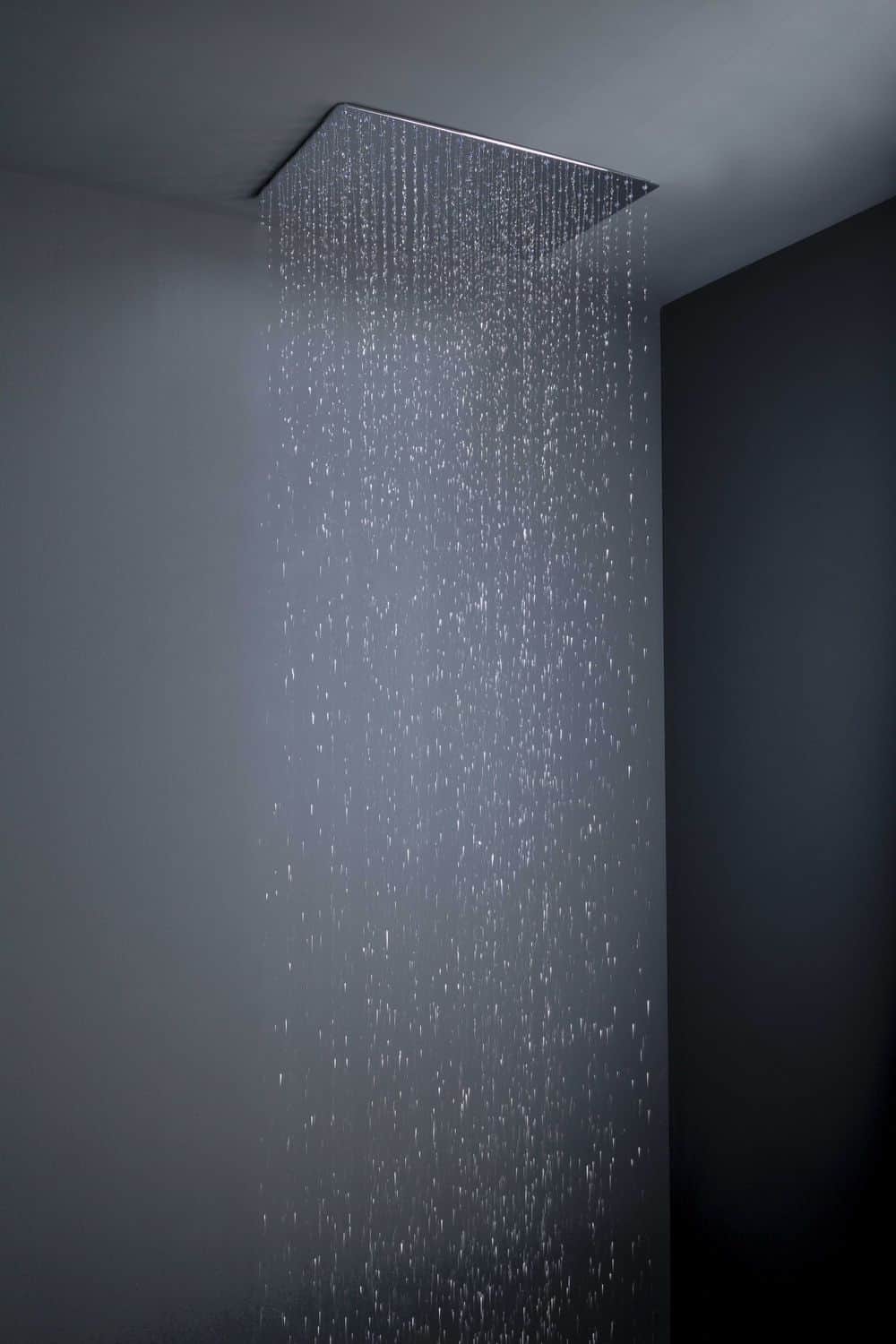 flush mount rain shower heads tender