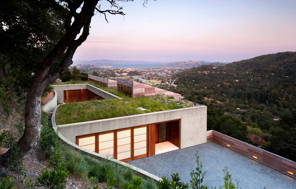 slope house living roof merges hillside 3 living roof