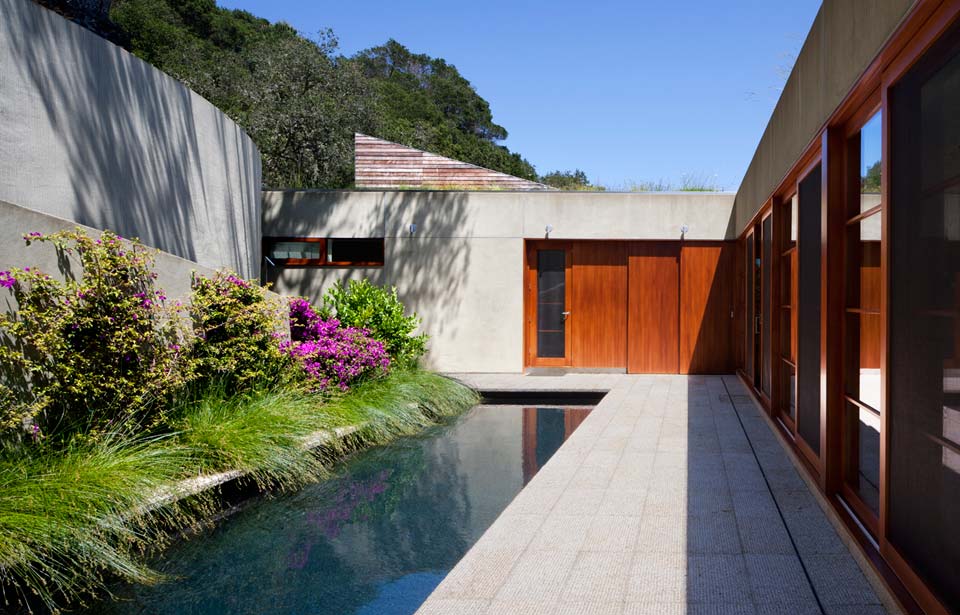 slope house living roof merges hillside 5 pool