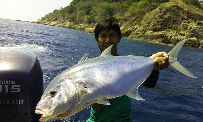 Mengenal Identiti Spesies Ikan Jemuduk