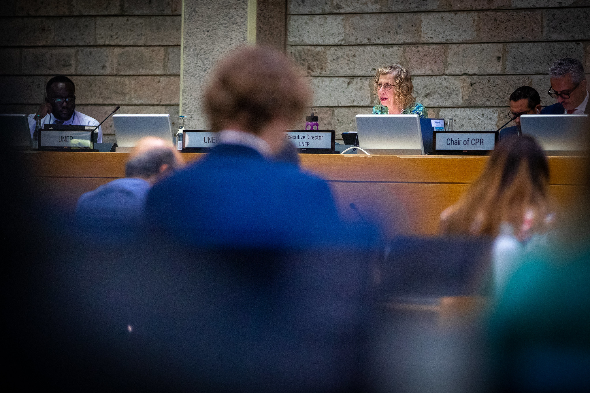 Inger Andersen behind a podium at the 167th meeting of the Committee of Permanent Representatives