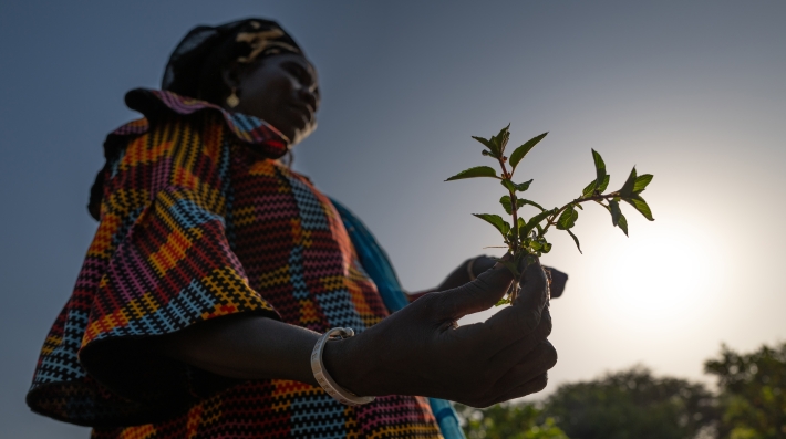 Woman holding a plant