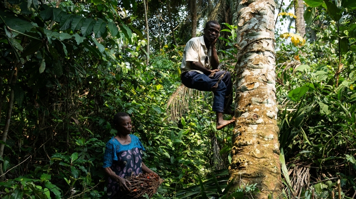 A woman holding brambles stands next to a man in a harness tied to a tree. 