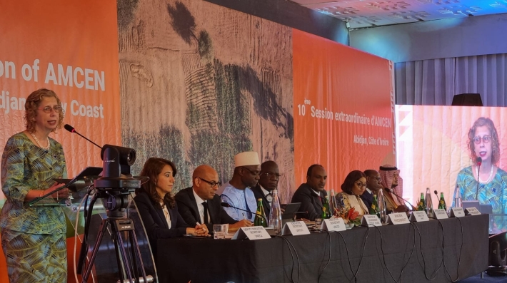 UNEP Executive director, Inger Andersen addressing the 10th Special Session of the African Ministerial Conference on the Environment 