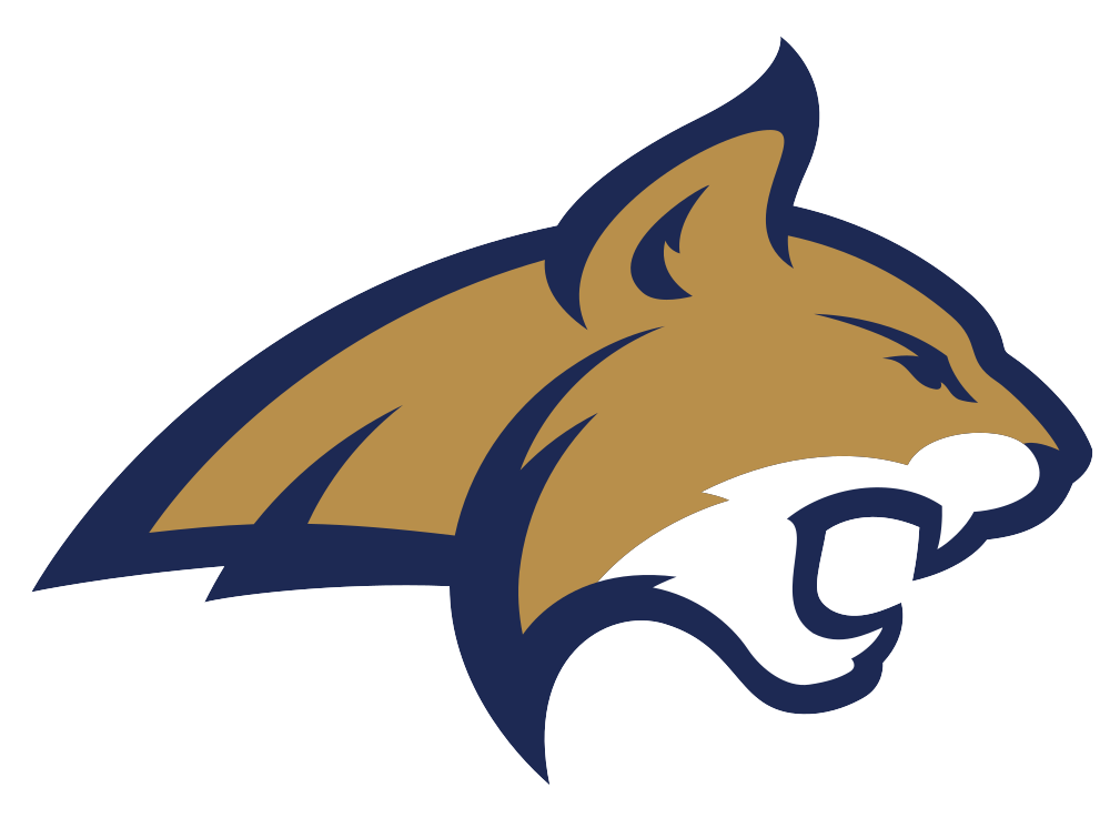 Montana State University-Bozeman Colors