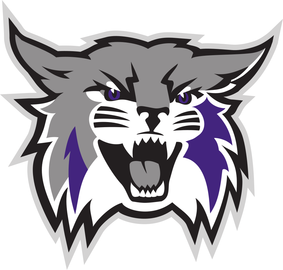 Weber State University Colors