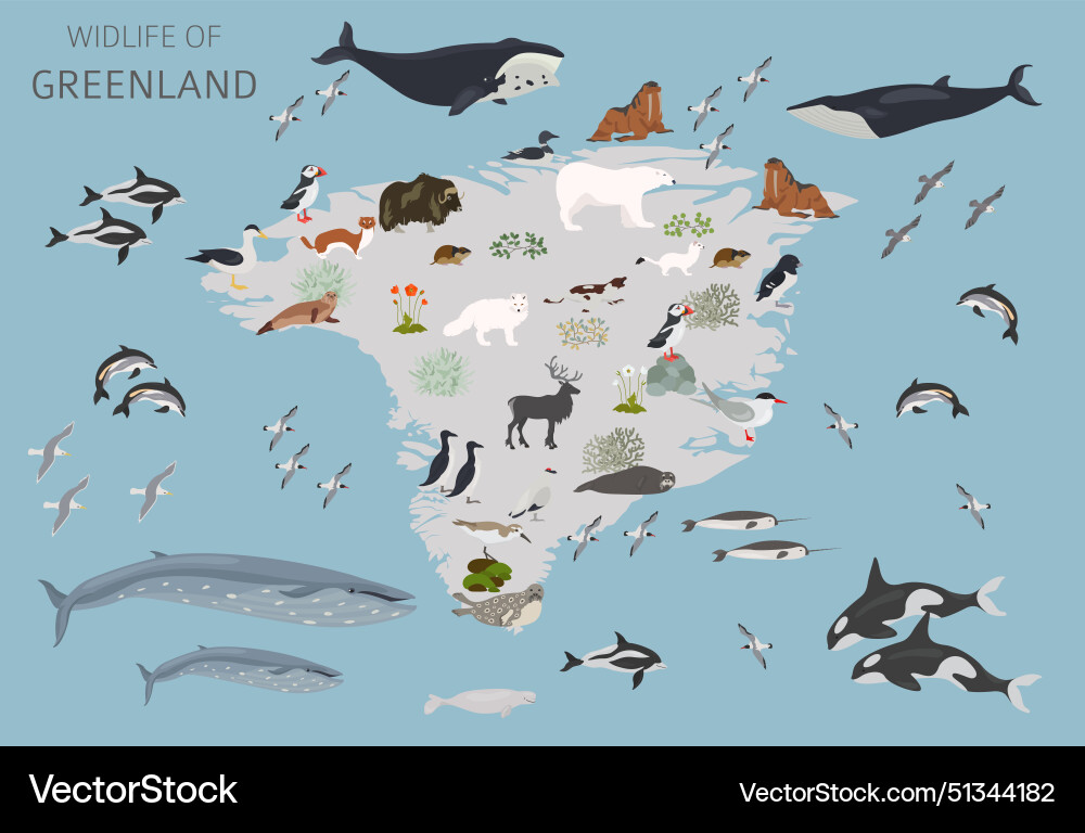 Flat design of greenland wildlife animals birds Vector Image