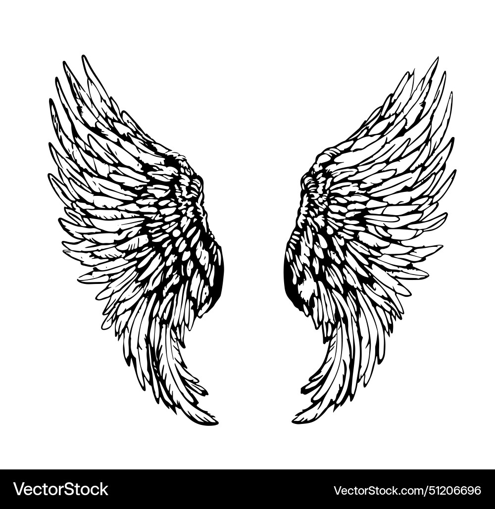 Wings hand drawn Royalty Free Vector Image - VectorStock