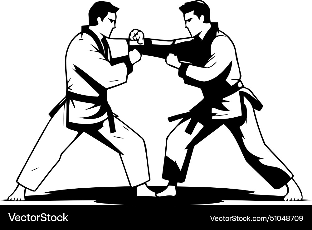 Tae kwon do or karate sport Royalty Free Vector Image