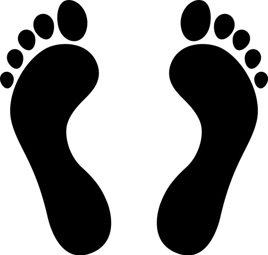 Left and Right Foots Vector Images (over 290)