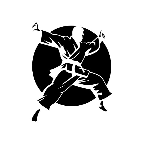 Taekwondo tae kwon do fighter Royalty Free Vector Image