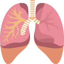 Lung cancer diagram in detail - stock Royalty Free Vector