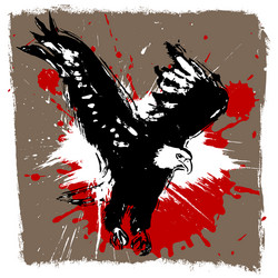 Attacking Eagle Vector Images (over 1,200)