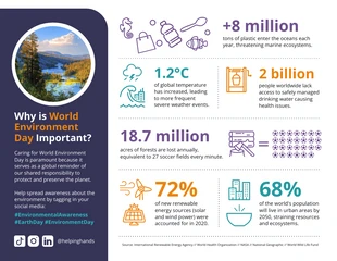 premium  Template: Infografía estadística del Día Mundial del Medio Ambiente