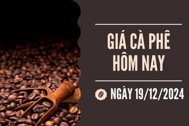 Giá cà phê hôm nay 19/12: Arabica và robusta biến động trái chiều