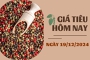 Gi&#225; ti&#234;u h&#244;m nay 19/12: Trong nước vượt 147.000 đồng/kg, xuất khẩu tăng đến 200 USD/tấn