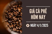 Giá cà phê hôm nay 4/1: Quay đầu giảm, giá cà phê trong nước xuống dưới 121.000 đồng/kg