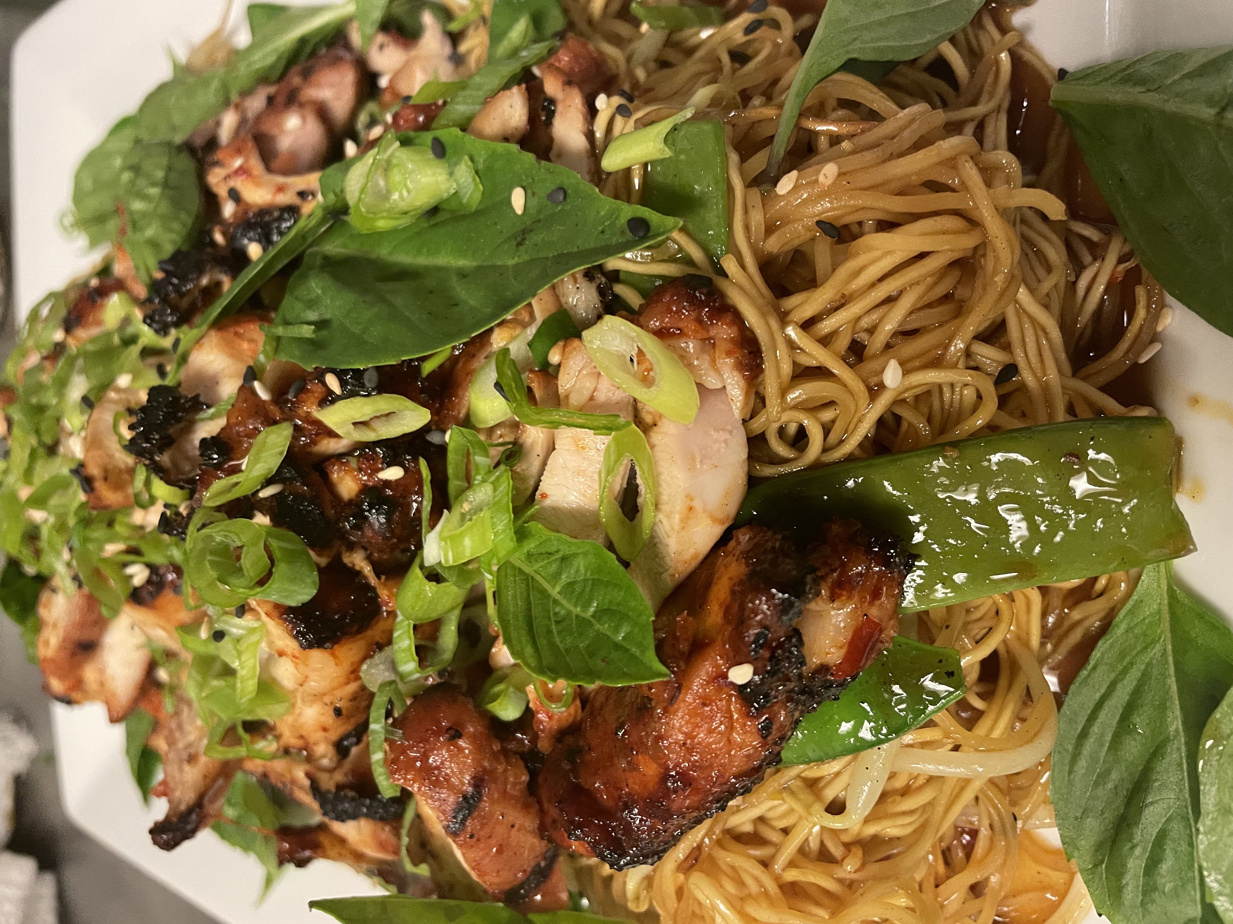 Noodles garnished with scallions and chicken.