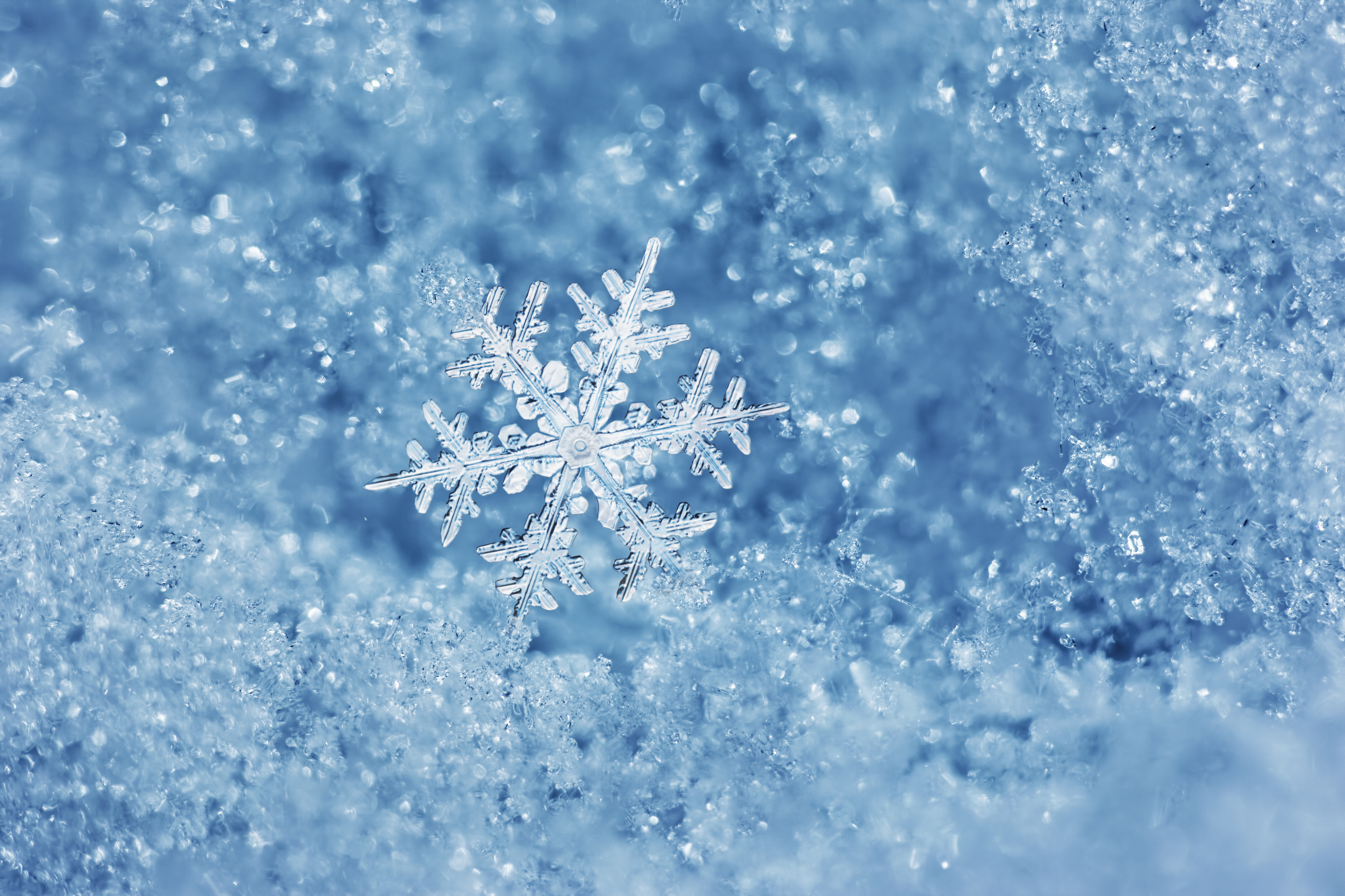 A close up of snowflakes.