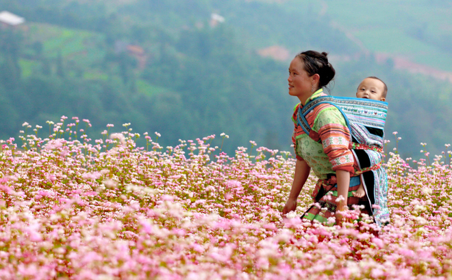 Tìm Những Hình Ảnh Đẹp Nói Lên Tình Yêu Thương Của Người Mẹ Đối V