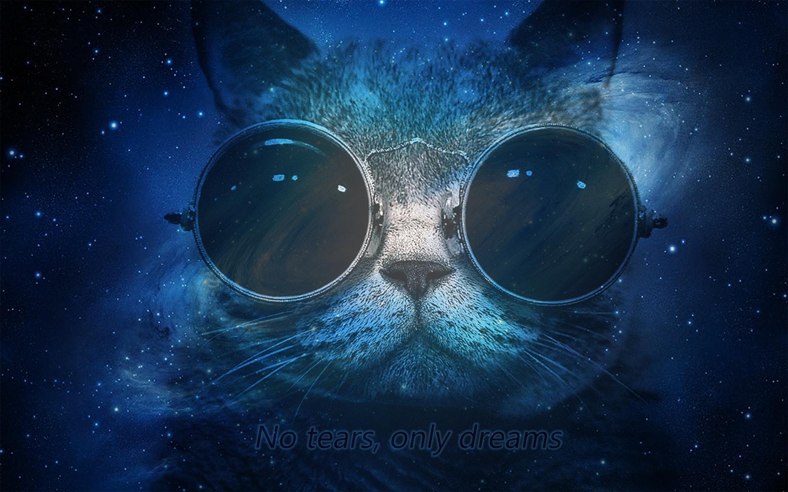 14000 Space Cat Wallpaper Pictures