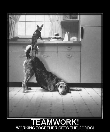 Teamwork At Work Funny