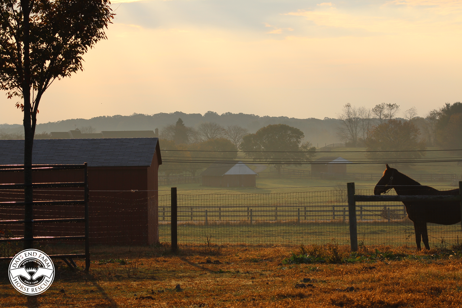 Farm Zoom Background