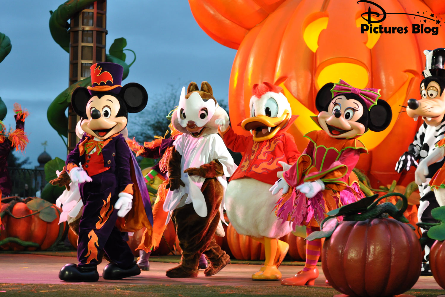 🔥 [50+] Walt Disney Halloween Wallpapers | WallpaperSafari