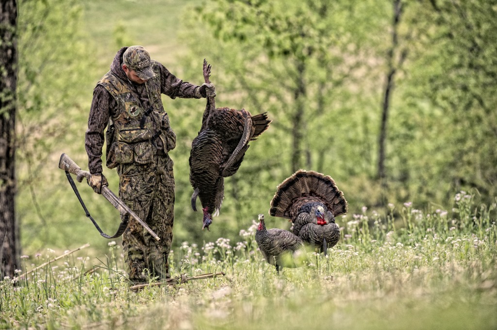 Spring Turkey Hunting Wallpaper