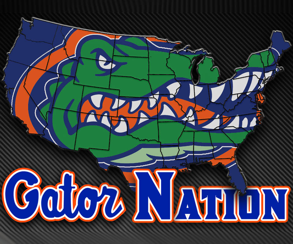 HD wallpaper college florida football gators  Wallpaper Flare