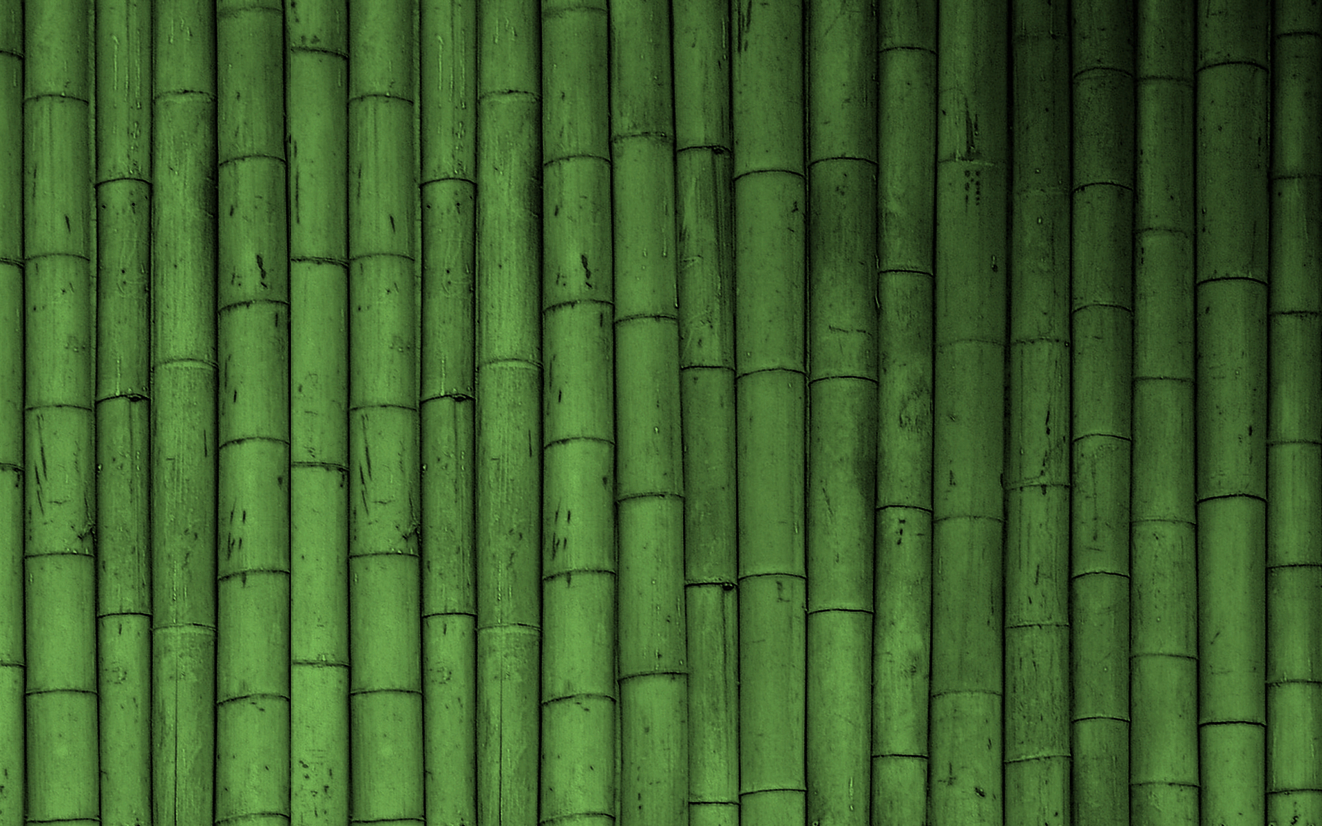 75+] Green Bamboo Wallpaper - WallpaperSafari