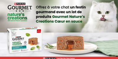 Concours : offrez à votre chat un festin gourmand avec un lot de produits Gourmet Nature’s Creations