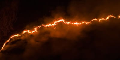 Incendies à Los Angeles : en reportage, deux journalistes sauvent trois chiens pris au piège d’une maison en feu