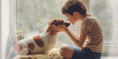 enfant et chien