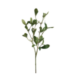 Grand Interiors Mistletoe h60cm