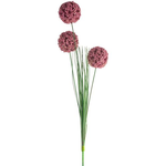 Grand Interiors Allium Spray Dark Pink 76cm