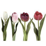 Grand Interiors Tulip h36cm