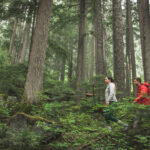 A couple hike in Whistler's lush temperate rainforest in the fall.