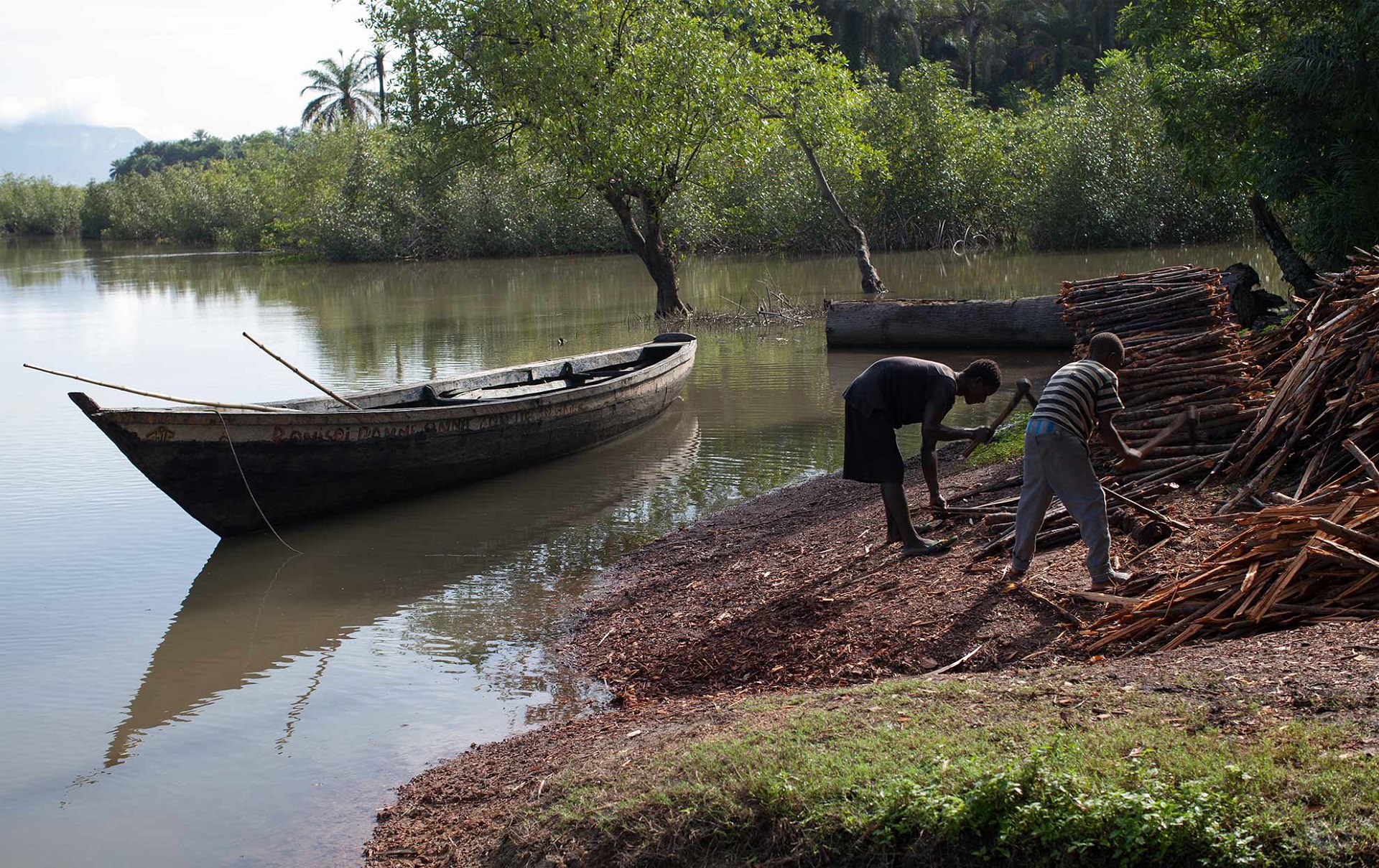 Ebola outbreak in West Africa and the risk to Europe