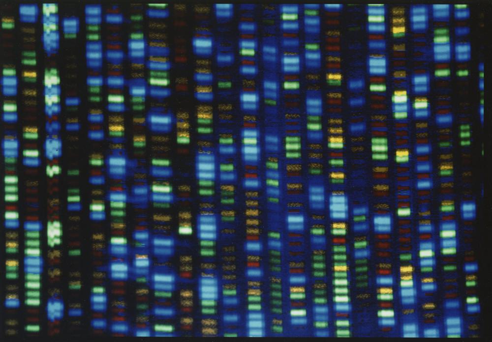 Scientists finally finish sequencing entire human genome