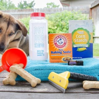 12 DIY Dog Shampoos for Soft and Healthy Fur 