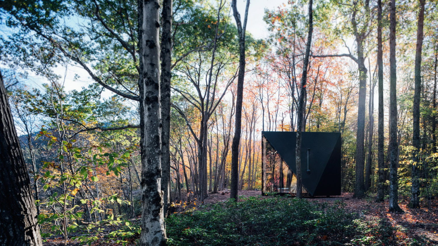 A45 | Tiny Triangular Cabin in New York by BIG