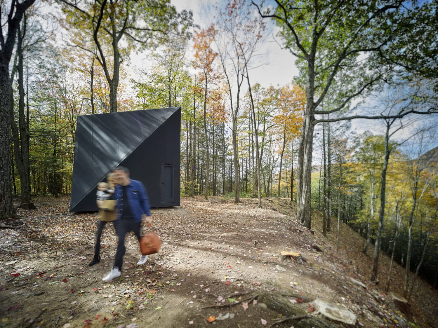 A45 | Tiny Triangular Cabin in New York by BIG