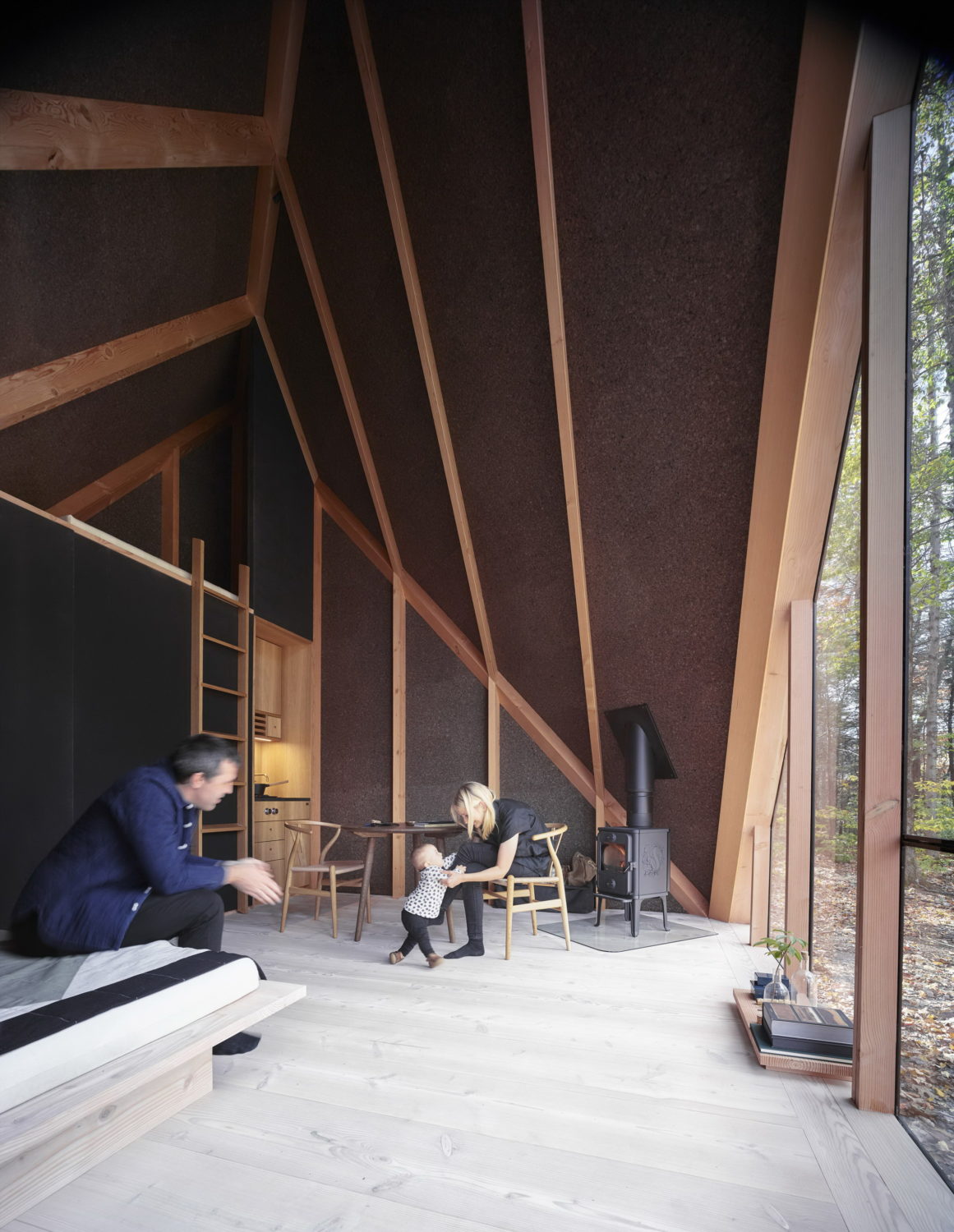 A45 | Tiny Triangular Cabin in New York by BIG