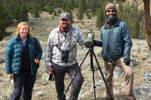 Yellowstone WolfTracker